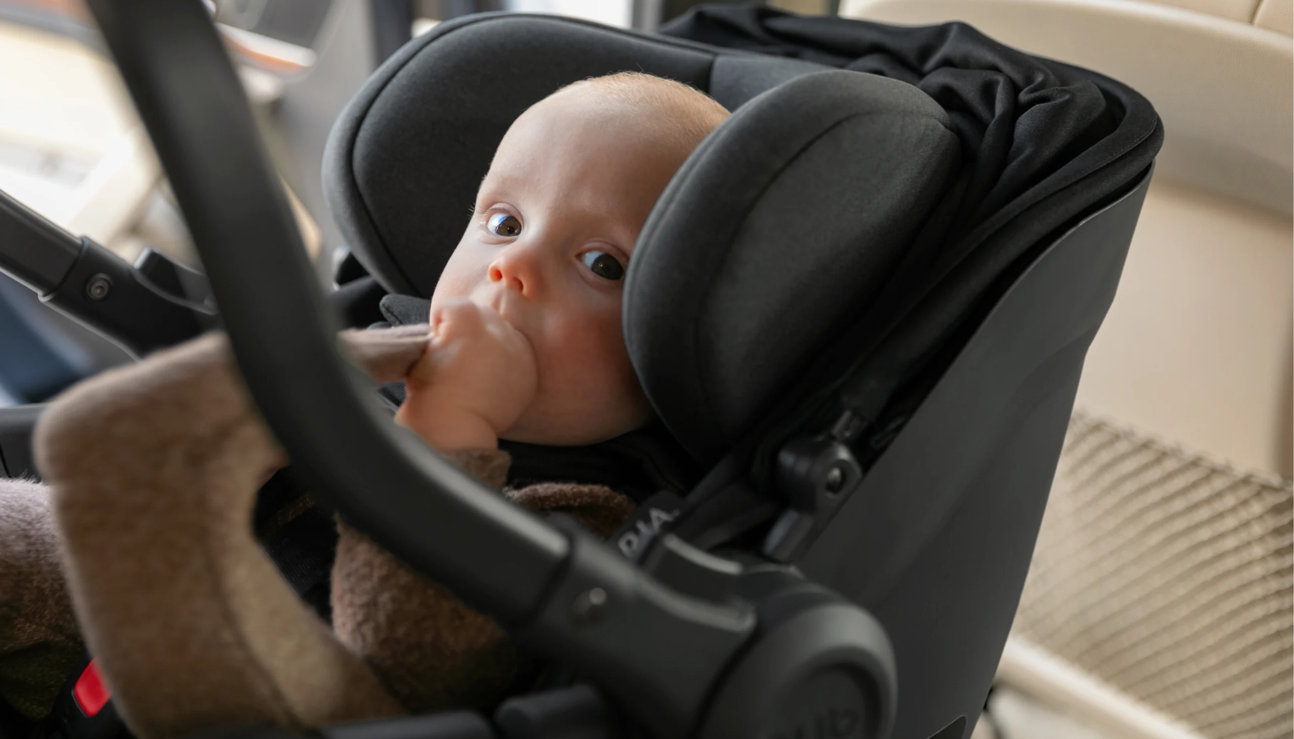 A baby plays with its clothing while securely buckled in an Aria car seat installed in a vehicle